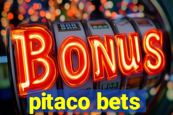 pitaco bets